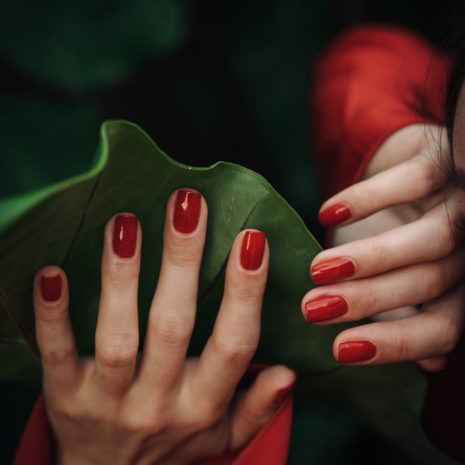 Papaya Mango Body Butter